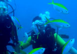 Scuba Diving India