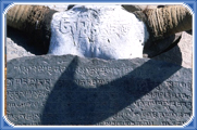 Mansarovar Travels